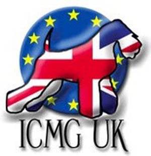 ICMG UK